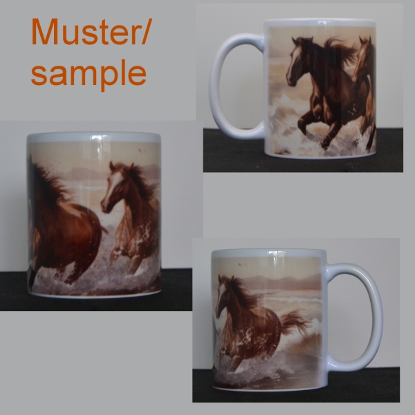 11 oz cup of sample